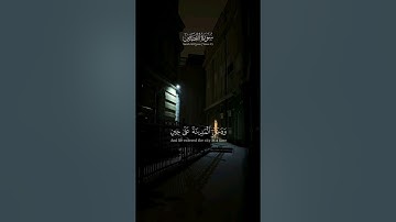 تلاوة سورة القصص | الآية ١٥ | الشيخ ياسر الدوسري