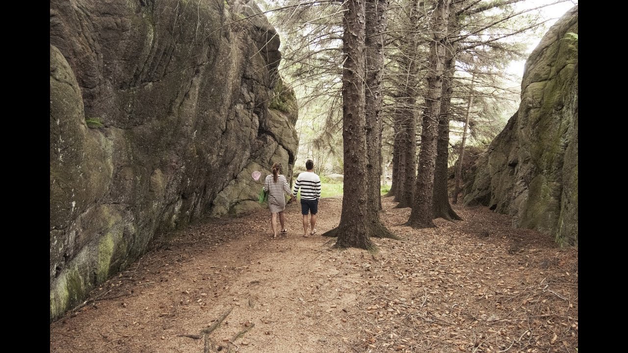 Looking For The Summer