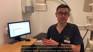 Interview: Vet Alex German from The Royal Canin Weight Management Clinic