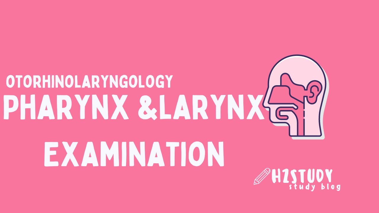 Otorhinolaryngology Pharynx & Larynx Examination YouTube