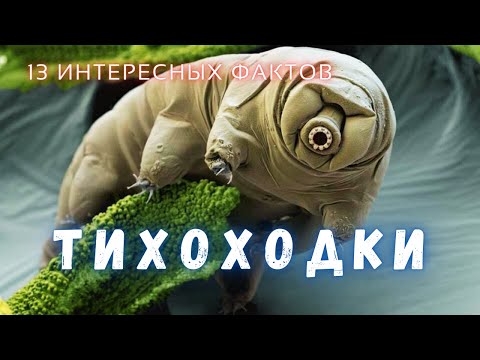 Самое крутое существо на Земле \ Интересные факты @people_and_space