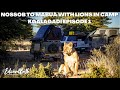 KGALAGADI | NOSSOB TO MABUA | A LION DESTROYED MY TYRE | Episode 1