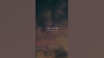 عبدالرحمن مسعد - سورة الاعلى | قد افلح من تزكى وذكر اسم ربه فصلى #قران #سورة_الاعلى #عبدالرحمن_مسعد