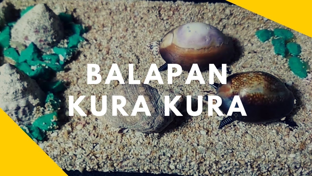 Membuat Kerajinan  Tangan Dari Kulit Kerang  Sederhana Mudah  