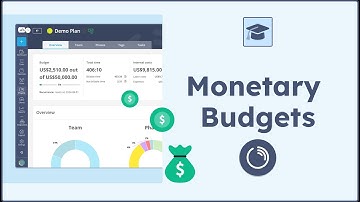 How to track Monetary Project Budgets with Timeneye