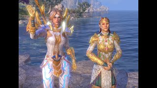 Terilorne Merchant Voice Line Showcase ESO, Elder Scrolls Online screenshot 3
