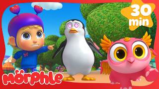 mila morphle save hypnotized animals cartoons kids mila