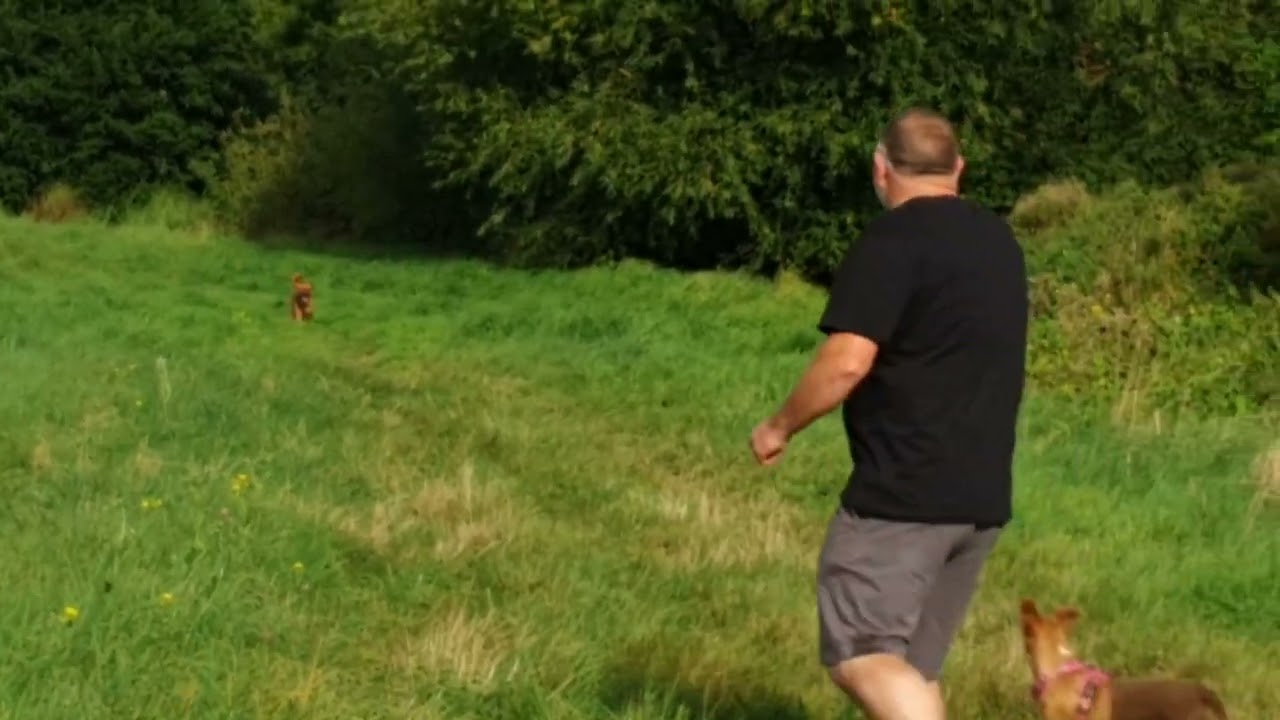 Muttlins - Bruce 120921