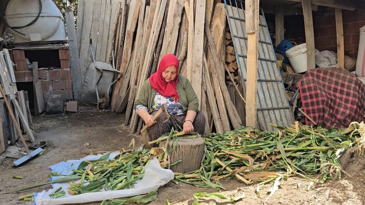 ‼️HER HOROZ KENDİ ÇÖPLÜĞÜNDE ÖTER ‼️