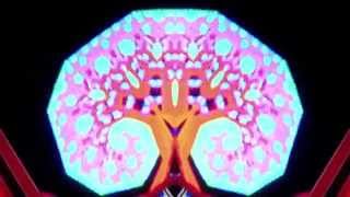 Famous Fractals: video feedback loop with mirror effect Wealth