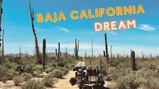 BAJA CALIFORNIA NORTH  What a ride on my Ural sidecar !!! Most beautiful deserts. MEXICO