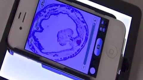 ProScope Micro Mobile iPhone iPod iPad Microscope