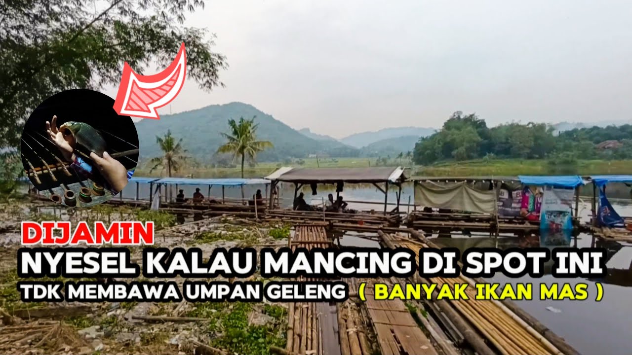 EPS.35 MANCING JATIGEDE TERBARU || nyesel gk bawa umpan geleng,ternyata dispot ini bnyk ikan mas nya