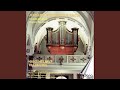 Miniature de la vidéo de la chanson Choral Partita "O Gott, Du Frommer Gott": Bwv 767, Vii