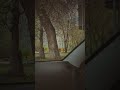 Google pixel 8 Davinci Resolve #снятонателефон #googlepixel8 #pixel8