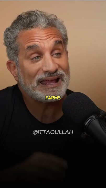 youtube.com