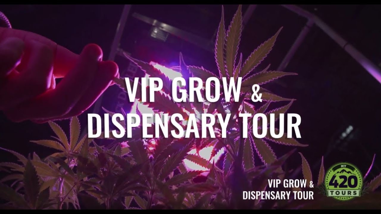 weed dispensary tour