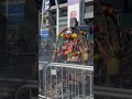 BBQ Hanging meats and Spinning Rotators