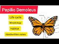 Papilio Demoleus!! Life cycle!! BSC 3rd year Zoology #handwritennotes #viralvideo #hpu #viralvideo