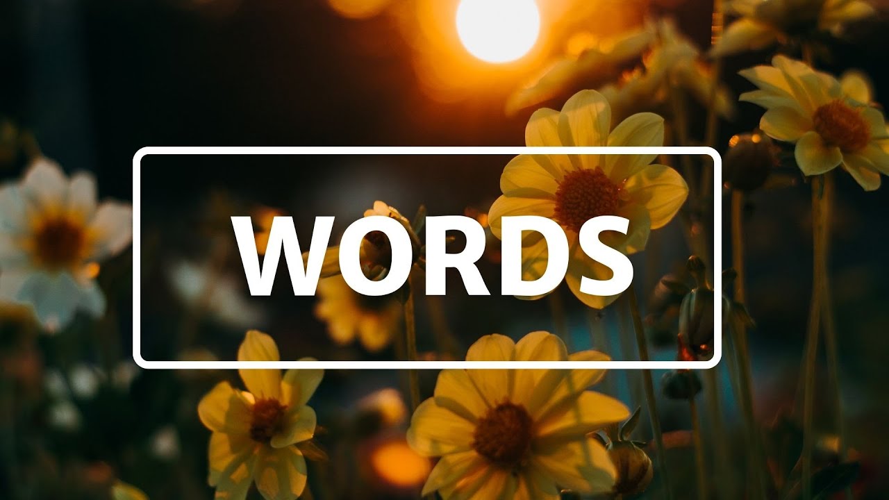 True words of Wisdom | How to speak well | Book of Wisdom | Free Online