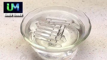 Paper Clips Float On Water Experiment