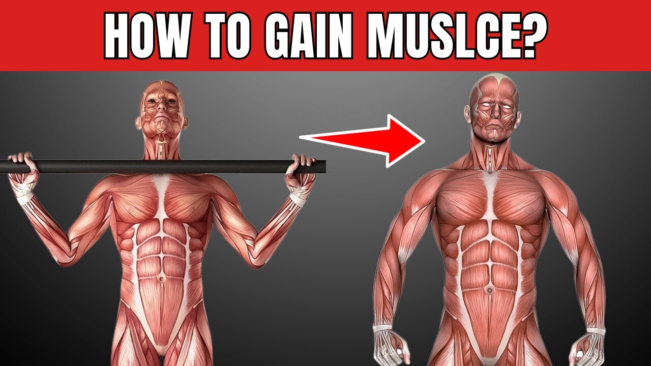 How Many Pull Ups a Day Should You Do to Build Muscle Mass - YouTube