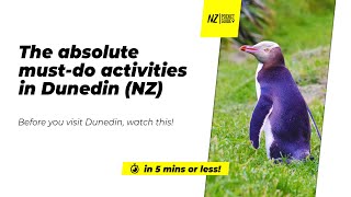 🗺️ The absolute must-do activities in Dunedin NZ - NZPocketGuide.com