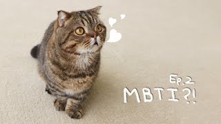 CreamHeroes | Which Personality Describe these cats?  (MBTI Test)