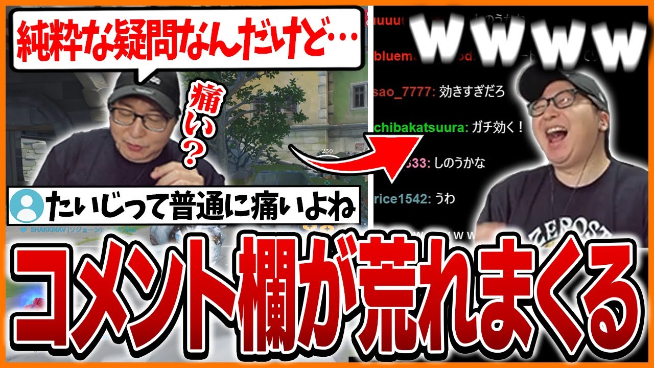 純粋な疑問をぶつけ大荒れしたコメント欄に爆笑してしまうたいじ【Overwatch2】
