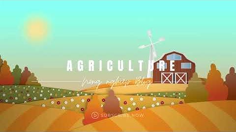 Robot diệt cỏ bằng laser - giải pháp đột phá trong nông nghiệp