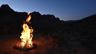 4K Campfire in Desert With Cricket Night Sounds