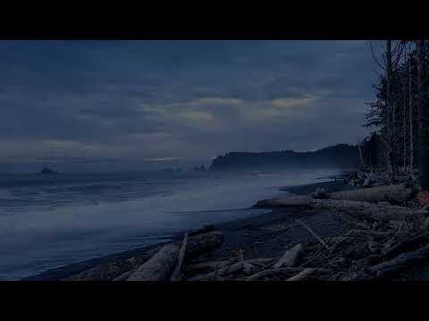 24 Hours in Washington