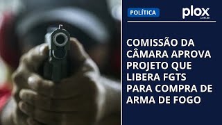 Comissão da Câmara aprova projeto que libera FGTS para compra de arma de fogo