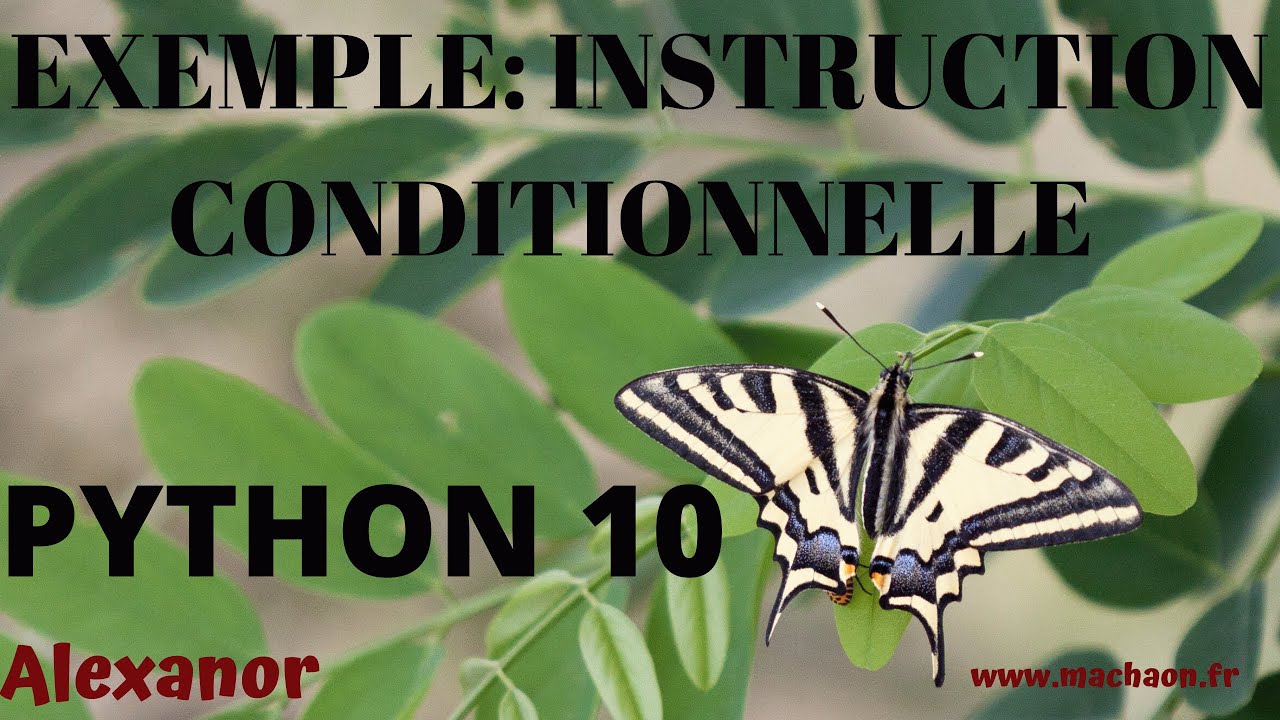 Programmation Python #10 - exemple avec instruction conditionnelle ( if ...