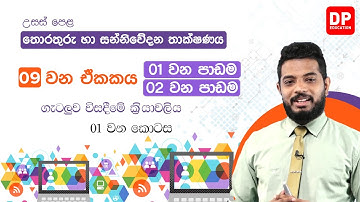 09 වන ඒකකය | 01 , 02 වන පාඩම - ගැටලුව විසදීමේ ක්‍රියාවලිය (Python) -  01 වන කොටස | AL ICT Unit 09