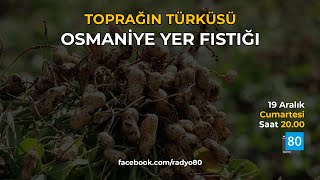 Toprağın Türküsü Osmaniye Yer Fıstığı Belgeseli Radyo 80De