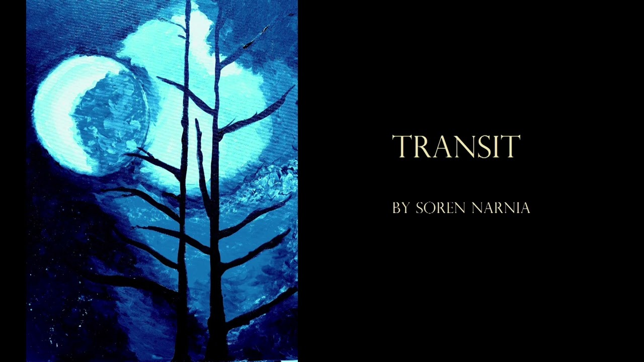 TRANSIT – horror fiction by Soren Narnia