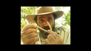 rob bredl, the barefoot bushman, and john robinson, bush tucker banquet (FHD) [remastered]