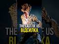 Google ЗАЛИШИВ ВІДСИЛКУ НА The Last of Us