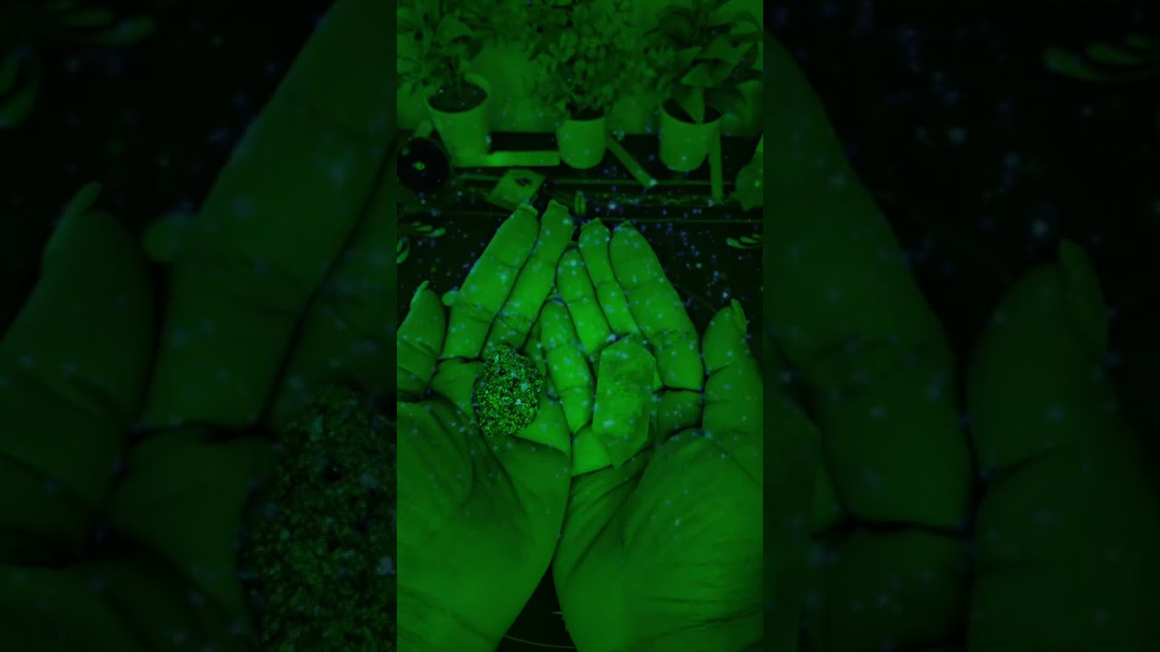 Wholisticallyyoursllc is my heart led business, providing reiki for abundance and prosperity ✨️ 