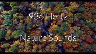 936 Hz + Nature Sounds Meditation Frequency Pineal Gland Activation 3rd Eye Opening Solfeggio Sleep