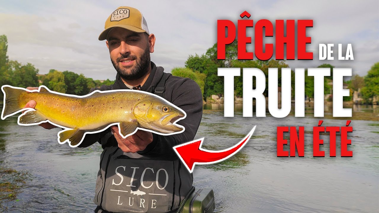 Comment PÊCHER la TRUITE en ÉTÉ aux LEURRES SUSPENDING ?