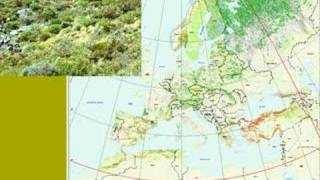 Forest Biomes and Forest Types