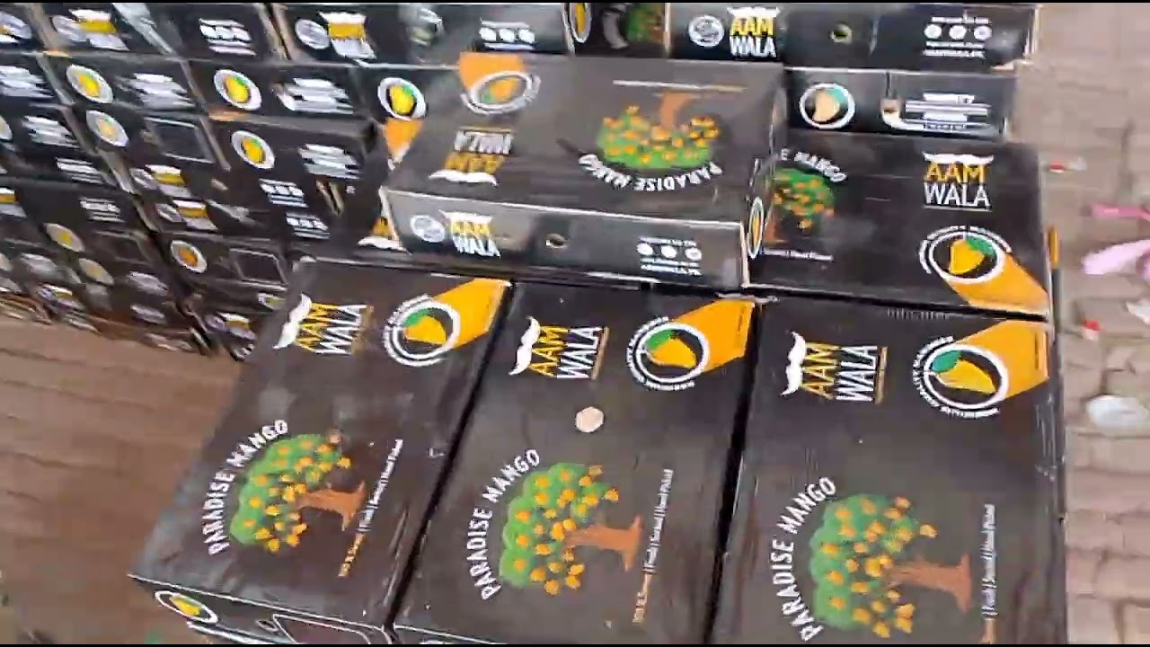 4 kg packing loading for Iran By YASIR GHANI RAHAT MANGO Available RMK INTERNATIONAL PVT LTD