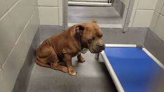acs A681601
