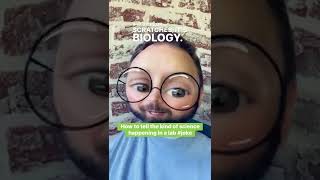 How to tell the difference between a biology, chemistry, or physics lab almost instantly #joke