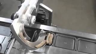 Making And Testing Of Chicken