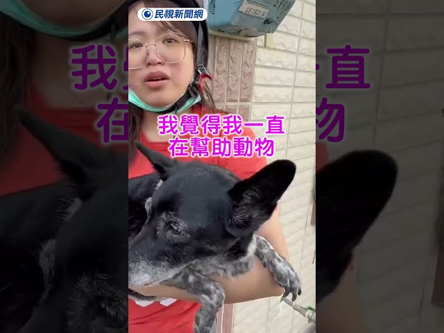 雲林陳美琪找到了！飼主抱愛犬淚駁50萬詐騙流言｜民視新聞｜
