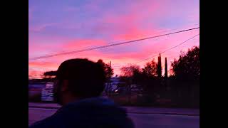 Foster - Rose Official Audio