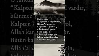 Gönül Dağı Türküsü Hikayesi - Neşet Ertaş -